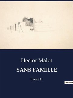 SANS FAMILLE - Malot, Hector