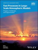 Fast Processes in Large-Scale Atmospheric Models (eBook, PDF)