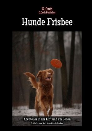 Hunde Frisbee Hunde Frisbee