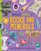 Rocks and Minerals (eBook, ePUB)