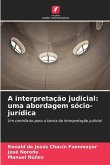 A interpretação judicial: uma abordagem sócio-jurídica
