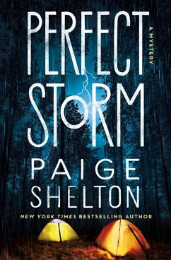 Perfect Storm (eBook, ePUB) - Shelton, Paige