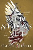 Where Shadows Meet (eBook, ePUB) Where Shadows Meet (eBook, ePUB)