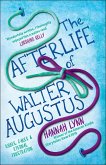 The Afterlife of Walter Augustus (eBook, ePUB)