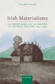 Irish Materialisms (eBook, ePUB)