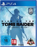 Rise Of The Tomb Raider: 20 Year Celebration (PlayStation 4)