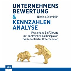 Unternehmensbewertung & Kennzahlenanalyse (MP3-Download) - Schmidlin, Nicolas