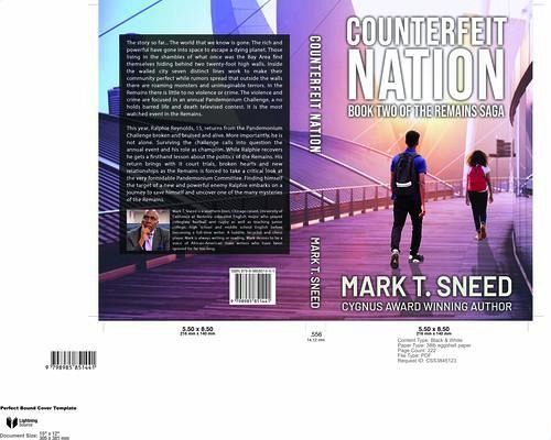 Counterfeit Nation (eBook, ePUB)