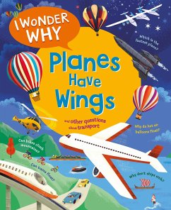 I Wonder Why Planes Have Wings - Maynard, Christopher