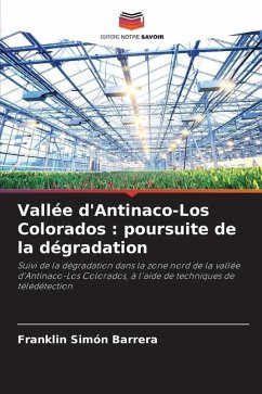 Vallée d'Antinaco-Los Colorados : poursuite de la dégradation - Simón Barrera, Franklin