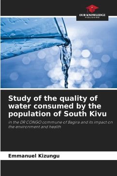 Study of the quality of water consumed by the population of South Kivu - Kizungu, Emmanuel