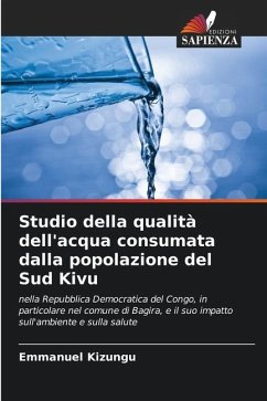 Studio della qualità dell'acqua consumata dalla popolazione del Sud Kivu - Kizungu, Emmanuel