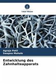 Entwicklung des Zahnhalteapparats