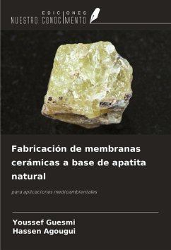 Fabricación de membranas cerámicas a base de apatita natural Cover Fabricación de membranas cerámicas a base de apatita natural