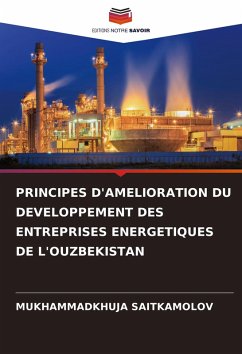 Cover PRINCIPES D'AMELIORATION DU DEVELOPPEMENT DES ENTREPRISES ENERGETIQUES DE L'OUZBEKISTAN