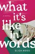 What It's Like in Words - Bild 1
