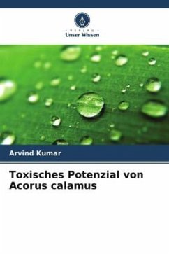 Toxisches Potenzial von Acorus calamus - Kumar, Arvind