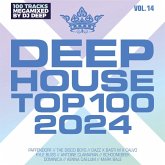 Deephouse Top 100 2024 (Vol. 14)