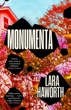 Monumenta (eBook, ePUB) - Haworth, Lara