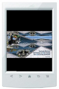 Cover FICTIONS ¿ FRICTIONS (eBook, PDF)