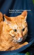 Purrfectly Trained: A Comprehensive... - Bild 1