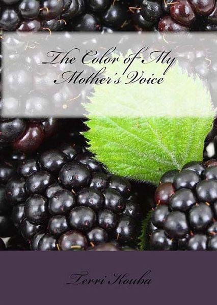 The Color of My Mother's Voice (eBook, ePUB)