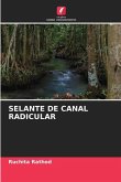 SELANTE DE CANAL RADICULAR