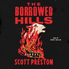 The Borrowed Hills - Preston, Scott