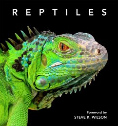 Reptiles - Wilson, Steve