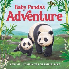 Baby Panda's Adventure - Igloobooks; Harkness, Rose