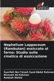 Nephelium Lappaceum (Rambutan) essiccato al forno: Studio sulla cinetica di essiccazione