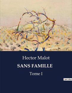 SANS FAMILLE - Malot, Hector