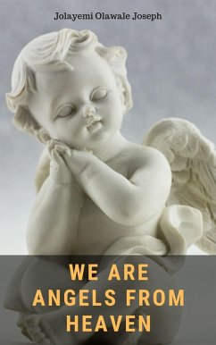Cover We Are Angels From Heaven (eBook, ePUB)