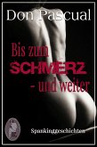 Bis zum Schmerz - und weiter (Erotik, Spanking) (eBook, PDF) Bis zum Schmerz - und weiter (Erotik, Spanking) (eBook, PDF)