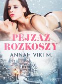 Pejzaż rozkoszy – zimowe opowiadanie erotyczne (eBook, ePUB)