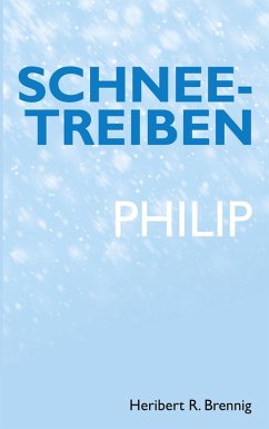 Schneetreiben (eBook, ePUB)