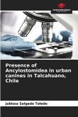 Presence of Ancylostomidea in urban canines in Talcahuano, Chile