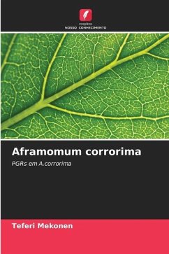 Aframomum corrorima - Mekonen, Teferi