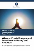 Wissen, Einstellungen und Praktiken in Bezug auf HIV/AIDS