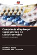 Comprimés d'hydrogel super-poreux de... - Bild 1