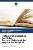 Histomorphologisches Profil der Antralschleimhaut des Magens bei H-Pylori