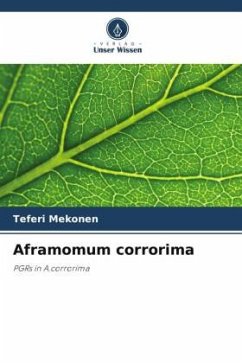 Aframomum corrorima - Mekonen, Teferi