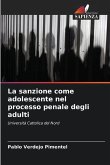 La sanzione come adolescente nel processo penale degli adulti