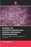 Análise do envelhecimento das células estromais mesenquimais