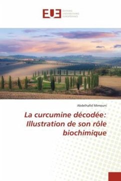 La curcumine décodée: Illustration de son rôle biochimique - Mimouni, Abdelhafid