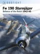 Fw 190 Sturmjäger (eBook, PDF) - Bild 1