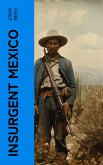 Insurgent Mexico (eBook, ePUB)
