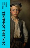 De kleine Johannes (eBook, ePUB)