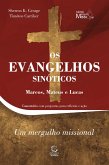 Os Evangelhos Sinóticos (eBook, ePUB)
