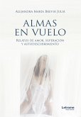 Almas en vuelo (eBook, ePUB)